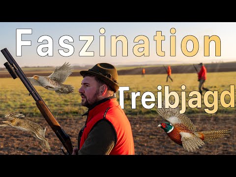 Faszination Treibjagd | Zu Gast im Niederwildrevier in Rheinhessen | WaldGeist