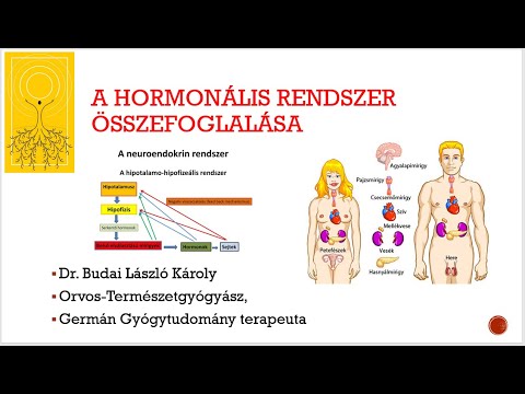 A papilloma vírus önmagában képes gyógyulni