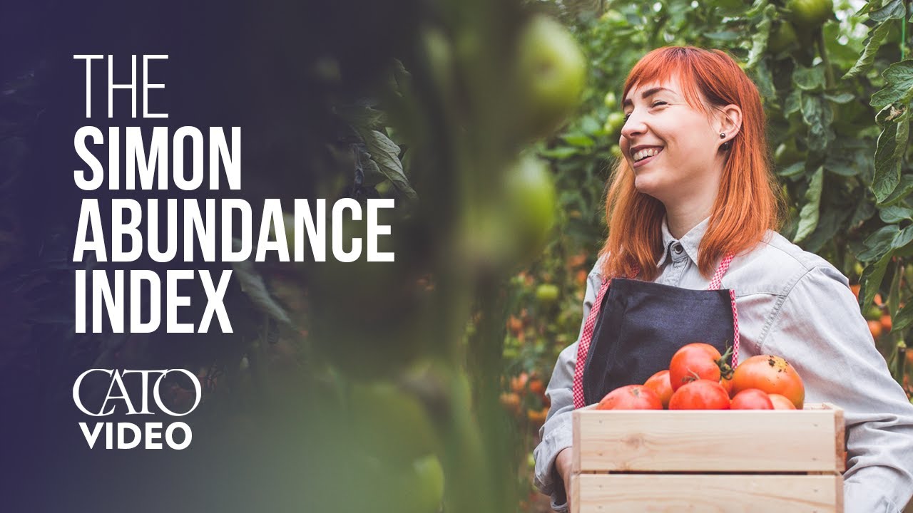 The Simon Abundance Index: A New Way to Measure Availability of Resources