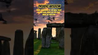 Download lagu ❇️The Wise❇️ #druid #wisdom mp3