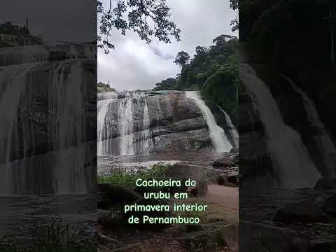 cachoeira do urubu em primavera interior de Pernambuco