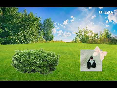 Lo gnomo armato di ascia