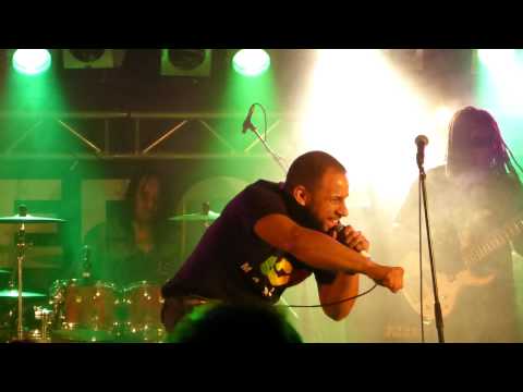 Rootsriders ft. Mitchel Brunings - Survivors