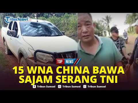 🔴Detik-detik 15 WNA China Ngamuk Serang 5 Prajurit TNI di Tambang Emas,Bawa Sajam hingga Alat Setrum