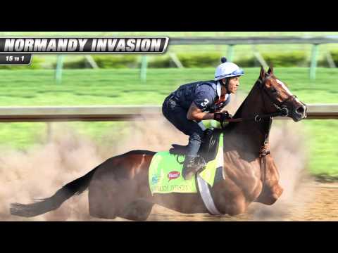 Horses to Watch at the 2013 Kentucky Derby