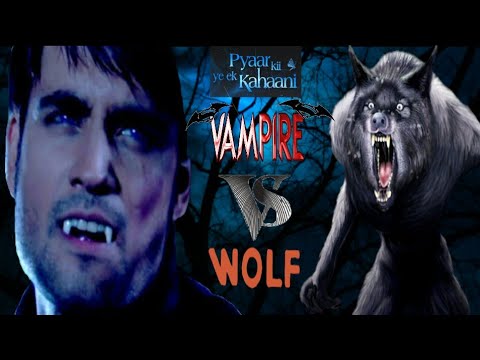 Vampire vs Wolf fight