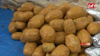 Lutte contre la drogue : la Gendarmerie saisit près de 800 kg de chanvre indien à Farama