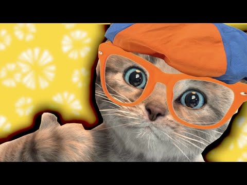 Little Kitten Adventures - Fun Costume Dress-Up Party!