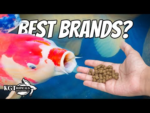 Exposing Fish Food Brands
