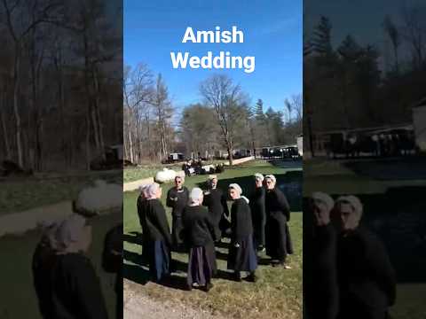 Amish Wedding PA.