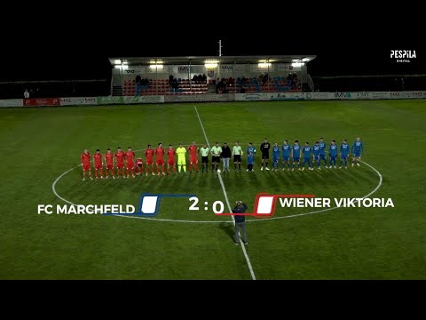 FC Marchfeld Donauauen - Wiener Viktoria 