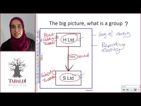 FAC2602 - LU1 - IFRS10 - L1 - The Big Picture, What is a Group?
