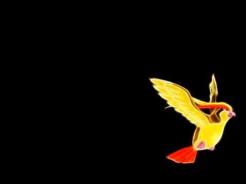 Sword of Omens - Pidgeot (Pokemon Split) #18