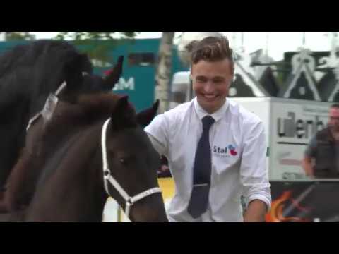 Fokdag Garijp Hynstedagen Ta it Bihald 2019