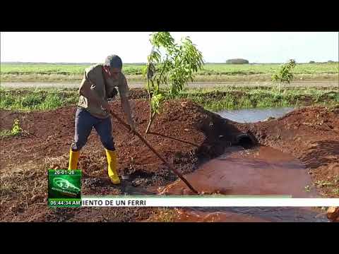 Polo productivo La Cuba avanza en la producción de alimentos