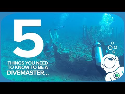 5 Things You Need To Know To Be A Divemaster…