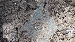 Metal Detecting NH deep Woods Hunt