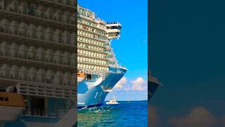 Allure of the Seas 🛳️ #travel #fun #subscribe #comment #cruise #vacation #shortvideo #shortsvideo