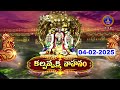 Rathasaptami Special Kalpavruksha Vahanam Tirumala 04 02 2025 SVBC TTD