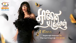អាណិតឬស្រលាញ់ | វី ឌីណែត | AUDIO | RHM