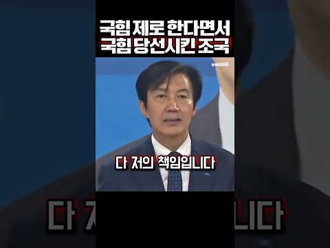 국힘 제로 한다면서 국힘 당선시킨 조국