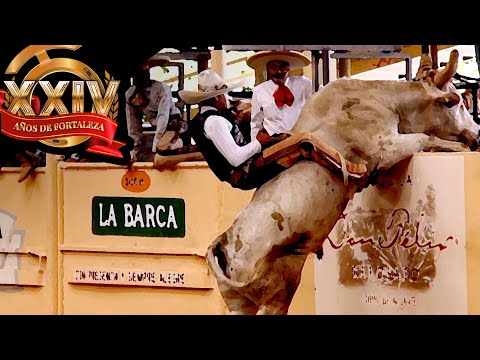 RIDERS vs. BULLS - Bull Riding Day 27 - Millionaire Championship 2021 THV