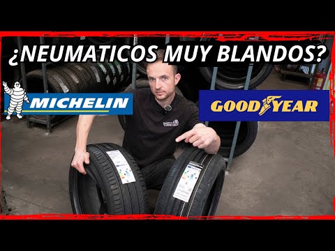 WHICH IS THE BETTER GOOD YEAR EFFICIENTGRIP PERFORMANCE 2 TIRE VS MICHELIN PRIMACY 4+?