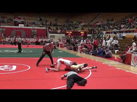 182 lbs State Dual Final D3 Logan Lloyd, Edison vs Brendan Pfeifer, Waynedale