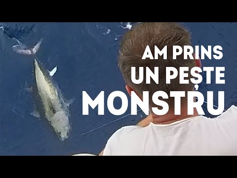 Din Sicilia în Insulele Baleare cu velierul