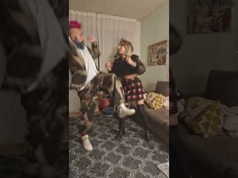 Pull over natalizio! #viralvideo