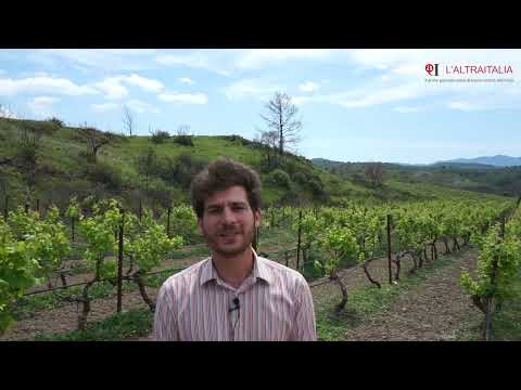 Rodi 2023 L'Altraitalia