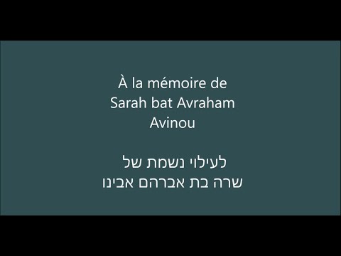 Tehilim 119 pour Sarah bat Avraham Avinou