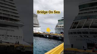🤯PASSENGERS PASSING BRIDGE FROM CRUISE SHIP AT PORT #viewersloverviews #shorts #viral #cruise