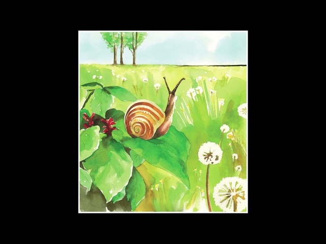 Vídeo relacionado con The Story Of A Snail Who Discovered To Be Slow: Luis Sepulveda