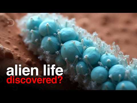 חיים על מאדים אושרו? נאס"א חושפת ראיות מזעזעות