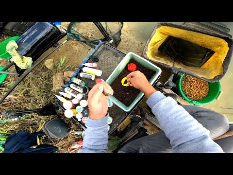 METHOD FEEDER TAKMICENJE - BAJER BIZOVAC HRVATSKA