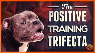 Video: Teach Your Dog to Listen