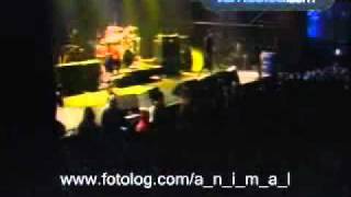 A.N.I.M.A.L - Revolucion Pepsi Music 2005