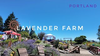 【ポートランド】　夏が最高なオレゴン　ラベンダーファームのフェスティバルへ行ってみた