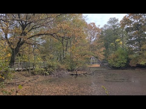 Kako nakon zatvaranja izgleda najljepša hrvatska šetnica među krošnjama drveča čazmanske "Medjame"