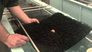 Bass Production Meade Update