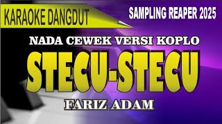 Download lagu Karaoke Stecu-stecu (Nada cewek) - Versi Koplo mp3