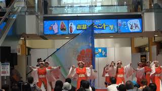 愛・彩媛　４K～「愛媛よさこい ～夏の陣～ 彩の舞～」
