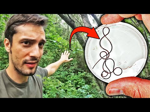 Die Jagd nach dem Psycho-Parasit | Ein Abenteuer im Sumpf