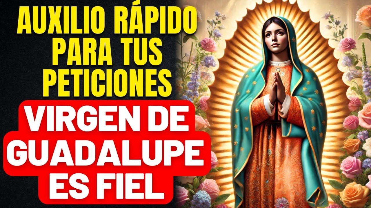 LLUVIA DE BENDICIONES HOY MISMO-ORACIÓN ESPECIAL DE CONSAGRACIÓN EN EL MES DE LA VIRGEN DE GUADALUPE