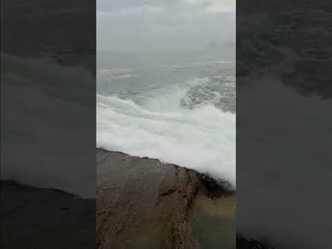 saltar en la playa #playa #apple #relax #reaction #risa #العالم #alishalehmann