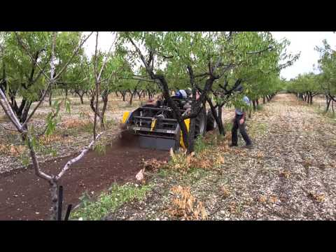 FTCD-160.02 FRESA TRINCIA CEPPI - STUMPS GRINDER