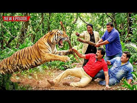 Maha Episode - जब कातिल को पकड़ने के बिच जंगल में वाघ ने किया CID पे हमला || CID || New Season