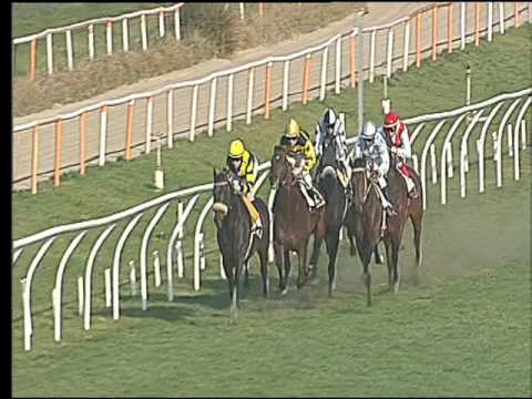 Galoppo 14/02/2017 - 1ª corsa