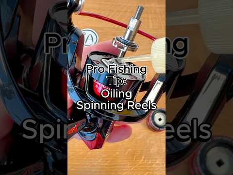 How to Oil a Spinning Reel #fishing #bassfishing #fishingtips